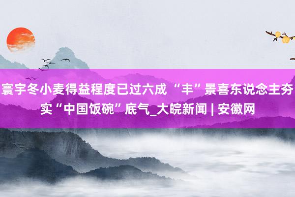 寰宇冬小麦得益程度已过六成 “丰”景喜东说念主夯实“中国饭碗”底气_大皖新闻 | 安徽网