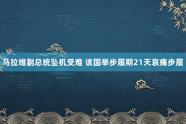 马拉维副总统坠机受难 该国举步履期21天哀痛步履