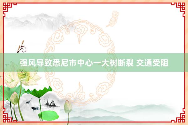 强风导致悉尼市中心一大树断裂 交通受阻