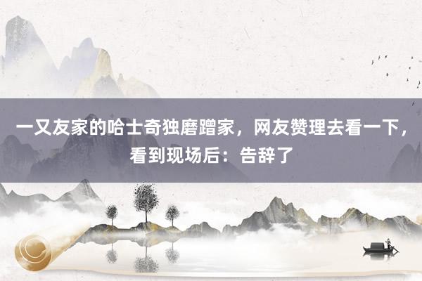 一又友家的哈士奇独磨蹭家，网友赞理去看一下，看到现场后：告辞了