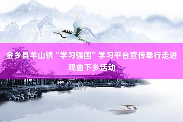 金乡县羊山镇“学习强国”学习平台宣传奉行走进戏曲下乡活动