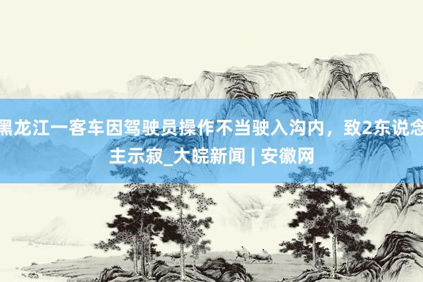 黑龙江一客车因驾驶员操作不当驶入沟内，致2东说念主示寂_大皖新闻 | 安徽网