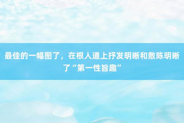 最佳的一幅图了，在根人道上抒发明晰和敷陈明晰了“第一性旨趣”