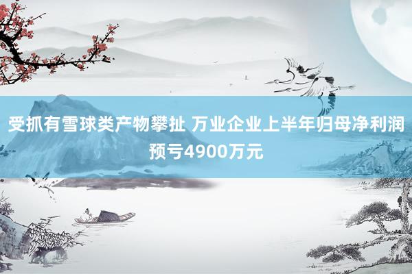 受抓有雪球类产物攀扯 万业企业上半年归母净利润预亏4900万元