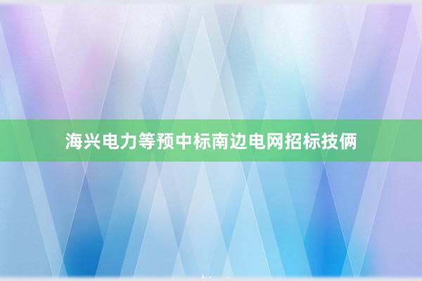 海兴电力等预中标南边电网招标技俩