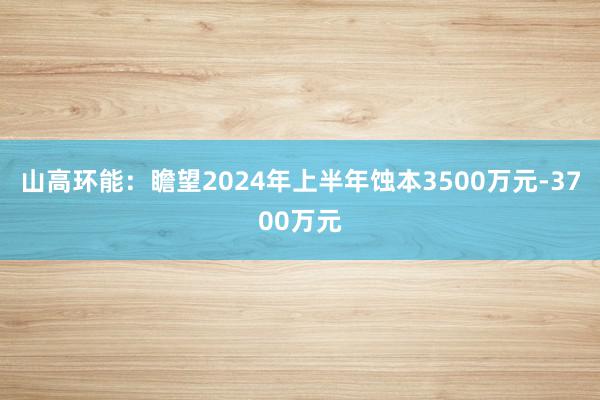 山高环能：瞻望2024年上半年蚀本3500万元-3700万元