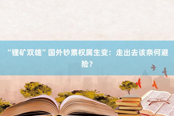 “锂矿双雄”国外钞票权属生变：走出去该奈何避险？