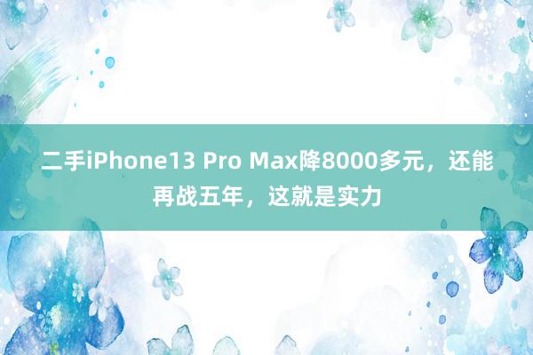 二手iPhone13 Pro Max降8000多元，还能再战五年，这就是实力