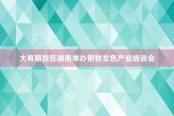 大有期货在湖南举办钢铁玄色产业培训会