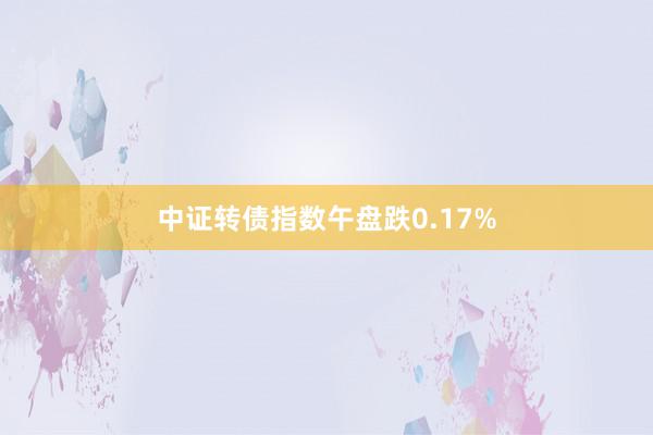 中证转债指数午盘跌0.17%