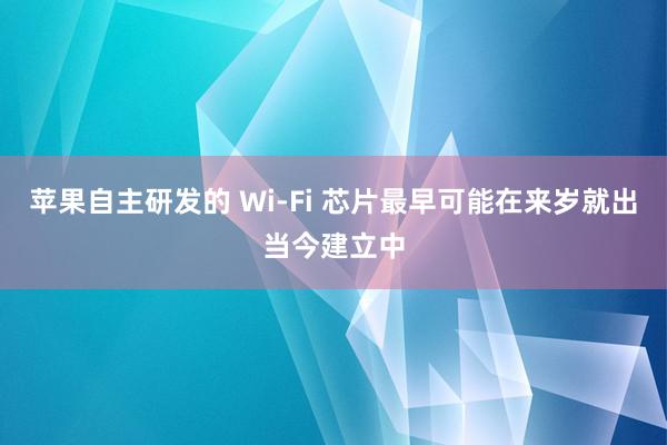 苹果自主研发的 Wi-Fi 芯片最早可能在来岁就出当今建立中